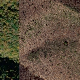 Satellite imagery of Bother Ridge, US