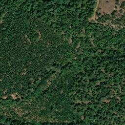 Satellite imagery of Cooks Station Ridge, US