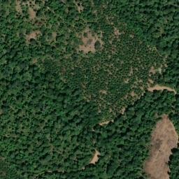 Satellite imagery of Cooks Station Ridge, US