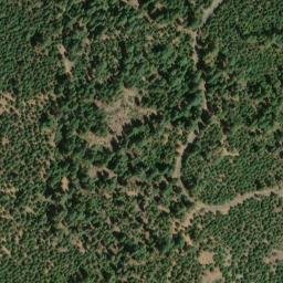 Satellite imagery of Panther Ridge, US