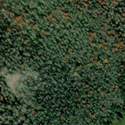 Satellite imagery of Sapling Ridge, US