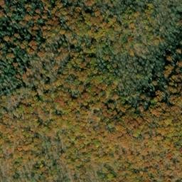 Satellite imagery of Sapling Ridge, US