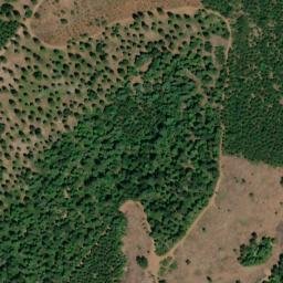 Satellite imagery of Cooks Station Ridge, US