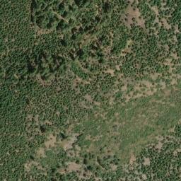 Satellite imagery of Panther Ridge, US
