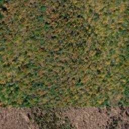 Satellite imagery of Bother Ridge, US