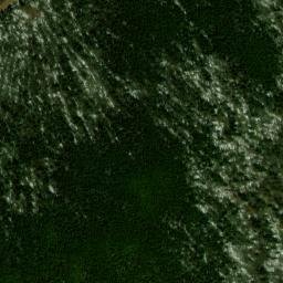 Satellite imagery of Back Allegheny Mountain, US