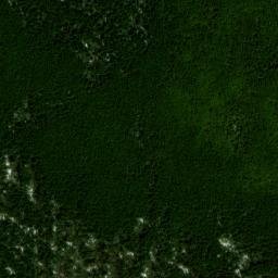 Satellite imagery of Back Allegheny Mountain, US