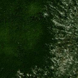 Satellite imagery of Back Allegheny Mountain, US