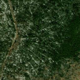 Satellite imagery of Back Allegheny Mountain, US