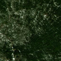 Satellite imagery of Back Allegheny Mountain, US