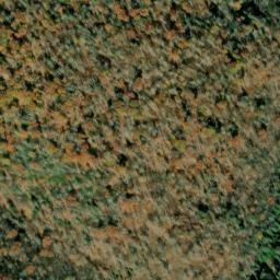 Satellite imagery of Tamarack Ridge, US