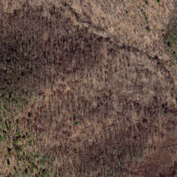 Satellite imagery of Path Ridge, US