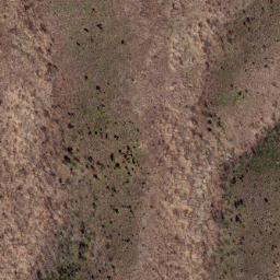 Satellite imagery of Path Ridge, US