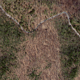 Satellite imagery of Path Ridge, US