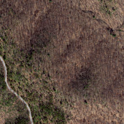 Satellite imagery of Path Ridge, US