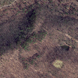 Satellite imagery of Fox Ridge, US