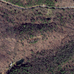 Satellite imagery of Fox Ridge, US