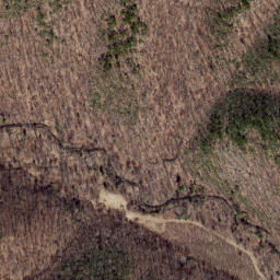 Satellite imagery of Path Ridge, US