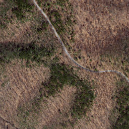 Satellite imagery of Path Ridge, US