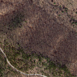 Satellite imagery of Path Ridge, US