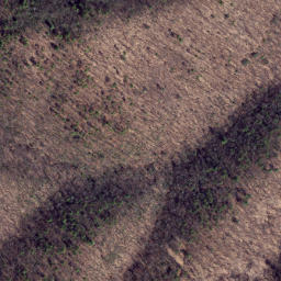 Satellite imagery of Fox Ridge, US