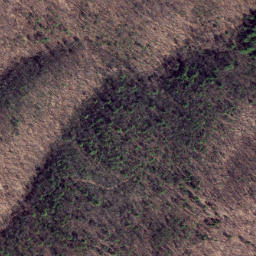 Satellite imagery of Fox Ridge, US