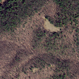 Satellite imagery of Fox Ridge, US