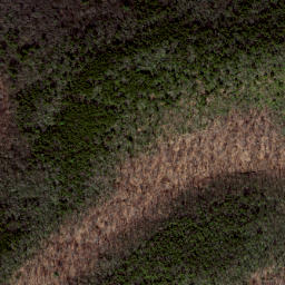 Satellite imagery of California Ridge, US