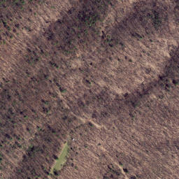 Satellite imagery of Fox Ridge, US