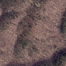 Satellite imagery of Fox Ridge, US