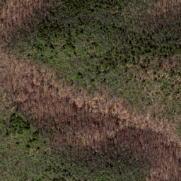 Satellite imagery of California Ridge, US