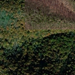 Satellite imagery of Timber Ridge, US