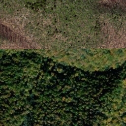 Satellite imagery of Timber Ridge, US