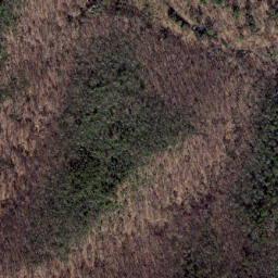 Satellite imagery of Wolf Ridge, US