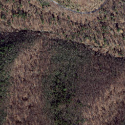 Satellite imagery of Wolf Ridge, US