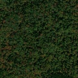Satellite imagery of Gauley Mountain, US