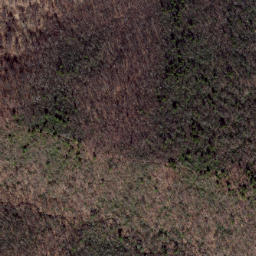 Satellite imagery of Wolf Ridge, US