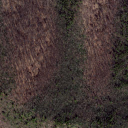Satellite imagery of Wolf Ridge, US