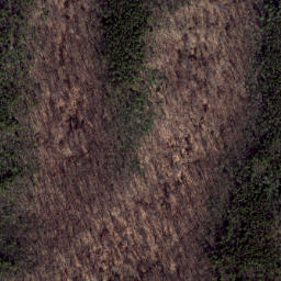 Satellite imagery of Wolf Ridge, US