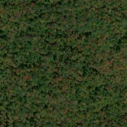 Satellite imagery of Gauley Mountain, US