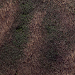 Satellite imagery of Wolf Ridge, US
