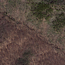 Satellite imagery of Wolf Ridge, US