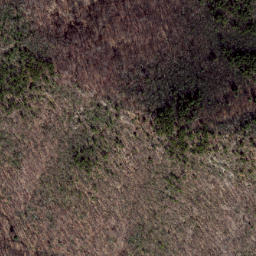 Satellite imagery of Wolf Ridge, US