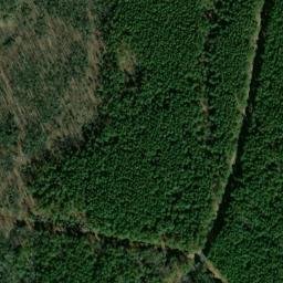 Satellite imagery of Cedar Point Neck, US