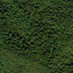Satellite imagery of Blakey Ridge, US