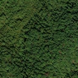 Satellite imagery of Blakey Ridge, US