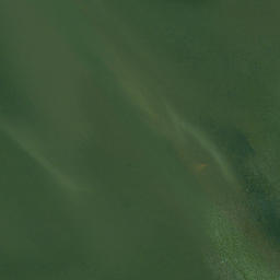Satellite imagery of Seegars Point, US