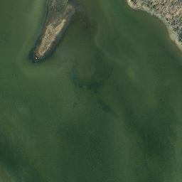 Satellite imagery of Seegars Point, US