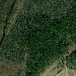 Satellite imagery of Cedar Point Neck, US