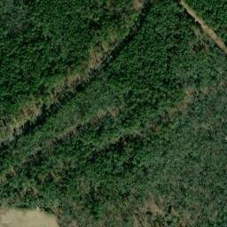 Satellite imagery of Cedar Point Neck, US